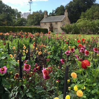 幸运彩票最新app