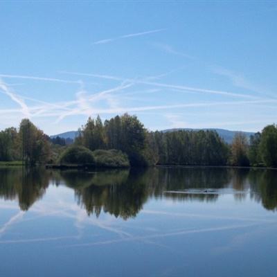 云开平台登录app