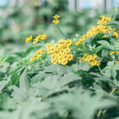 爱体育官方app下载手机版截图