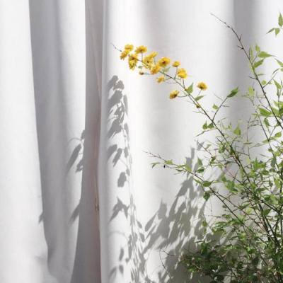 亚新手机版官方登录网站